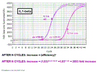 PCR_Amplification_vs_Cycle1.gif (32333 bytes)