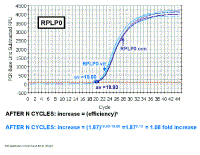 PCR_Amplification_vs_Cycle2.gif (29603 bytes)
