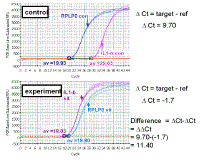 PCR_Amplification_vs_Cycle6.gif (38390 bytes)