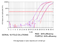 PCR_Amplification_vs_Cycle8.gif (34135 bytes)