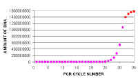 PCR_Reaction_graph1.jpg (26427 bytes)
