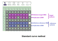 Standard_Curve_Method.gif (30189 bytes)